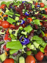 Load image into Gallery viewer, DELISSIMO GARDEN SALAD